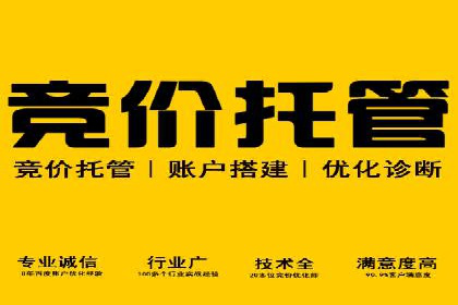 竞价推广实战：案例分析行业领军企业的成功之道